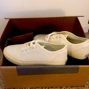 Brand new everlane shoes size 8